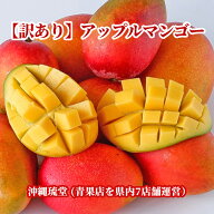 【ランク1位 二冠を獲得！】沖縄県産【訳あり】アップルマンゴー2〜3玉(600g以上)【即発送可・送料無料】…