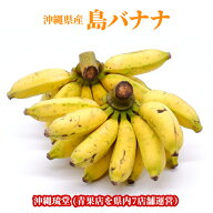 【即発送可・送料無料】沖縄県産 島バナナフルーツ 果物 お中元 お歳暮 ギフト 贈り物 父の日 母の日 出…