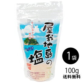 【送料無料】【お試しサイズ】屋我地島の塩100g×1袋沖縄 赤い塩調味料 屋我地島産 しお ソルト 手作り