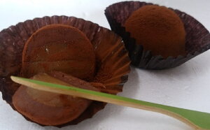 LVR 6@Mtg@蕨@v[g@pɂ@ÂƂقꂳ@l̖@@