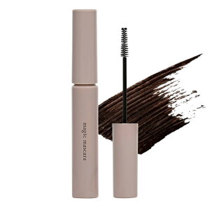 y 10{ I _BLACK FRIDAY ^zJv\ CALYPSO }WbN}XJ S2F NAubN / ubNuE