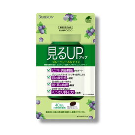 【期限 2025.07】ユニマットリケン 見るUP（アップ）ブルーベリー＆ルテイン 40粒 見切り品