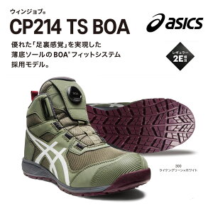 yzCP214 TS BOA AVbNXySCz 24.5`28cmE29cmE30cm@ 300CPO[×zCg@020OVAO[×OhV[N@600r[gW[X×zCg