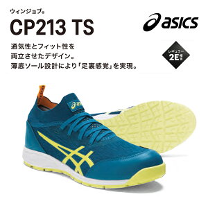 yzAVbNX@EBWuySCzCP213 TS AVbNX24.5`28cmE29cmE30cm@ 400fB[vV[eB[×O[CG[@020OVAO[×sGhgO[@600t@CA