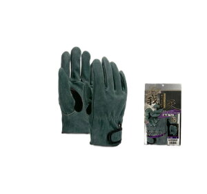 yzv@K496@ICv܁@MELELL@5o10o@V@}WbN~ߋAet@␅ɔGĂ炩@ew⋭@ӂ܁@Ǝ܈