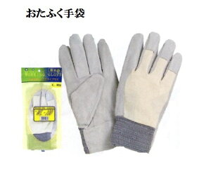 10oyvzWL100@vbXW[W@TCYt[@ʋĈv ӂ Ǝ܈