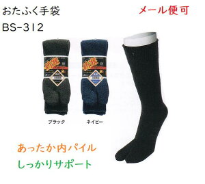 yhC[։zBS-312@pC\bNX^r^2og@ubN.lCr[@pC҂݁@ۉ̖hC@ӂ܁@