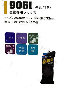 5Zbg@xm܁@9051@CpیC@1P@25cm~27cm(32cm)@@̗͂ŌC̒ŒEȂBɂ@{@RۖhL