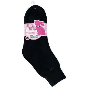 y[։hCz@BS542@ fB[XhpC\bNX2g22~24cm@ubN@ӂ 