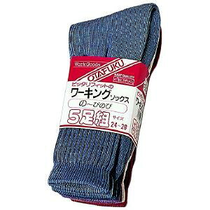 yzӂ܁@y749ztBbg[LO\bNX@ہ@5g@J[@24cm`26cm@̂т̂ёfލƌC@DIY@{