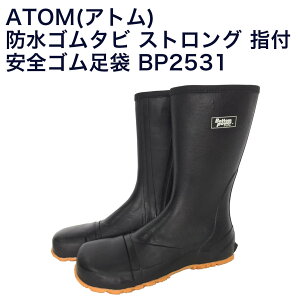 yzATOM(Ag) hS^r XgO wt SS ₷t@Xi[t BP2531@S`3L@h^Cv