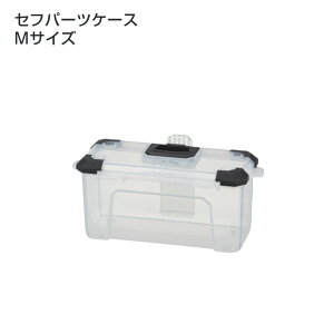 ^W}(Tajima) @Ztp[cP[XMTCY@TB-PCM