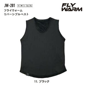 ӂ @JW-281@tCEH[@o[VuxXg