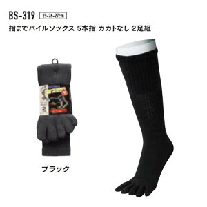 y[։zӂ܁@BS-319@~ph\bNX@pC҂ T|[gt 5{w JJg Ep@ubN@ 25~27cm