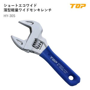�g�b�v�H��(TOP) �@HY-30S�@�V���[�g�G�R���C�h�@���J�����@:8�`30mm�@L:142mm�@T1:6mm�@T2:12mm�@D:59mm