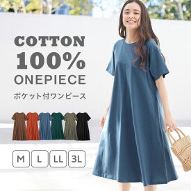 【クーポン利用で40％OFF！→1,794円★19日23:59迄】カットソー ワンピース 綿100％ ポケット付Aライン ワンピース (M～3L) RyuRyu リュリュ レディース ファッション レディース Viola e Viola ヴィオラ 春 夏 カットソー ワンピース