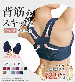 【2点20%OFFクーポン配布中】 スキッと美姿勢シリーズ　ブラ・ショーツ（別売）(A75 ブラ〜LL ショーツ) RyuRyu リュリュ レディース ファッション レディース インナー リュリュ ガードル 補整下着 補整インナー 補正 インナー