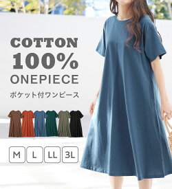 【5日限定P10倍＆最大30％OFFクーポン】 カットソーワンピース レディース 綿100％ポケット付Aラインワンピース 2025夏 Viola e Viola ヴィオラ M-3L