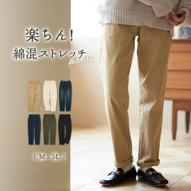 【WEB限定】スキニーパンツ 綿混ストレッチゆとりシルエットレギンスパンツ(M～5L) ryuryu リュリュ レディース ファッション Viola e Viola ヴィオラ ロングパンツ ロング丈 ボトムス