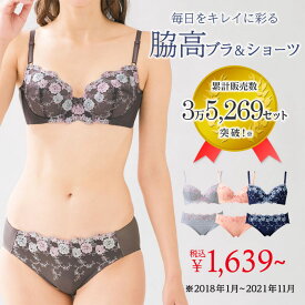 【18の日！→18％OFFクーポン配布中☆18日23:59迄】ブラ＆ショーツ 大人のプチプラ脇高ブラ＆ショーツセット(D75M～E85LL) レディース インナー ラヴィエンヌ 夏服 ブラジャー ショーツ セット インナー 下着 40代 レディースファッション 大きいサイズ