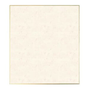 F J[  10 242×272mmw  ʉ n F 񂹏 G G \G { px