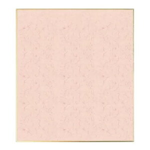 F J[  10 242×272mmw  ʉ n F 񂹏 G G \G { px