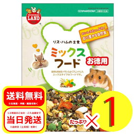 マルカン リス・ハムの主食 ミックスフード お徳用 500g 小動物 フード ハムスター リス MR-544（外箱は開封した状態でお届けします）