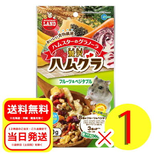 }J nX^[̃Om[ ґnO t[cxW^u 70g  t[h  nX^[ X fO[ K ML-55