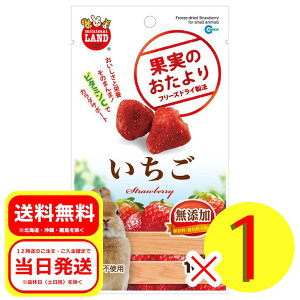 }J ʎ̂   t[h  ETM nX^[ X `` bg ML-84