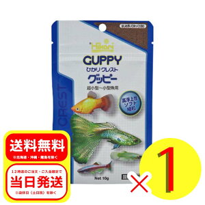 L[ ЂNXg Obs[10g ^`^p 㐫 \tg ח ͂ߕĂ蒾 02-49H