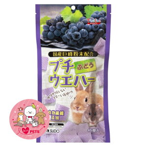 Xh[ v`EGn[ Ԃǂ 45 EGn[X^Cv̂  nX^[ P-828