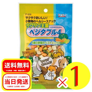 Xh[ TNTN xW^u4 26g  t[h  ETM ⏕Hi nX^[ P-938