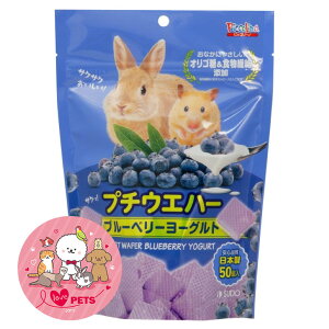 Xh[ v`EGn[ u[x[[Og 50 EGn[X^Cv̂  nX^[  P-3222