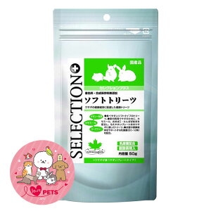 C[X^[ ZNVvX \tgg[c 50g   nX^[ fO[ H̉a