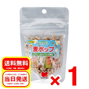 ybgt[h |bv 4g Rh錾 h{⏕Hi  ^CR  nX^[ X  KP-02