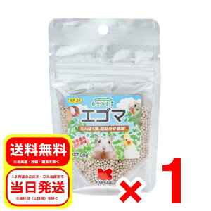 ybgt[h GS} 30g Rh錾 h{⏕H   nX^[ X GT a t[h KP-24