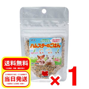 ybgt[h nX^[̂͂ 40g Rh錾 h{⏕H JiAV[h   Ђ  KP-41