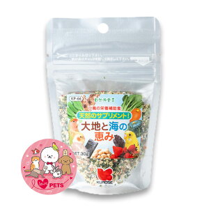 ybgt[h nƊČb 30g Rh錾 ̉h{⏕H GT a t[h KP-66