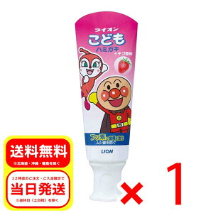 CI LION ǂn~KL Ap} C`S 40g 