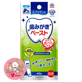 アース・ペット エブリデント 歯みがきペースト ミルクミント風味 40g 愛犬・愛猫用 栄養補完食
