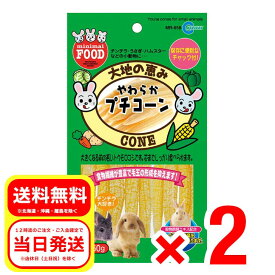 2個セット マルカン やわらかプチコーン 60g 小動物 おやつ ウサギ ハムスター チンチラ モルモット MR-658