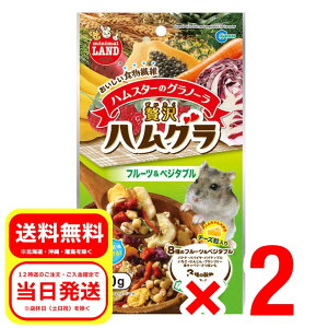 2Zbg }J nX^[̃Om[ ґnO t[cxW^u 70g  t[h  nX^[ X fO[ K ML-55