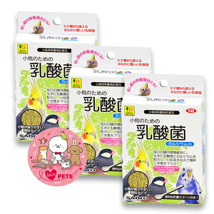 3�Z�b�g �O�W���� �����̂��߂̓��_�� 20g �֗��Ȍv�ʃX�v�[���t�� �J���V�E��In �����^�C�v �����p�h�{�⏕���i SANKO F45
