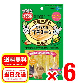 6個セット マルカン やわらかプチコーン 60g 小動物 おやつ ウサギ ハムスター チンチラ モルモット MR-658