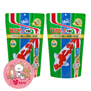 L[ Ђ 嗱 㐫 400g×2Zbg ь̉a  00-50D