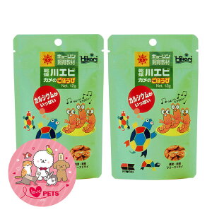 L[ qJ Gr Ĵق 12g×2Zbg 㐫 狳 ֗ȃ`bNt T̉a 03-52KY