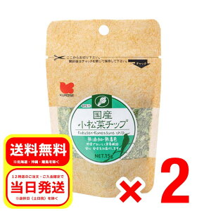 2Zbg ybgt[h Y ؃`bv ̃GT a t[h Y F KTS-11