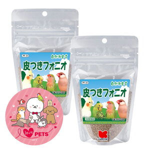 ybgt[h t tHjI 120g×2Zbg tHjIpeBCR  ̉a ̉a JiA ZLZCCR tB`  Rh錾
