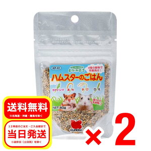 2Zbg ybgt[h nX^[̂͂ 40g Rh錾 h{⏕H JiAV[h   Ђ  KP-41