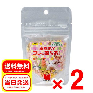 2Zbg ybgt[h H RAI 15g Rh錾 h{⏕H ^CR nX^[ tNK  GT a t[h KP-98